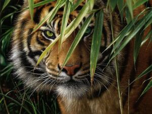 images 3 Console Crptech