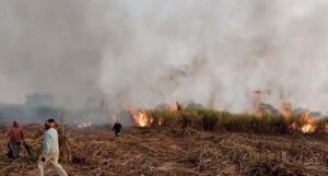 20231226205915 khet me aag Console Crptech