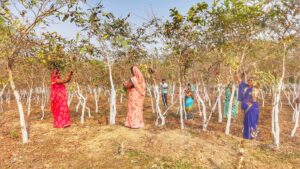 IMG 20240220 WA0199 Console Crptech