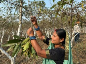 IMG 20240220 WA0200 Console Crptech