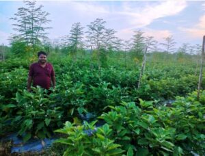 Screenshot 20240219 155509 Console Crptech