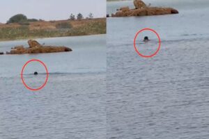 image 750x 65c4f5e1e8367 Console Crptech