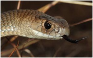 images 2024 02 23T194643.405 Console Crptech