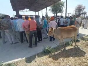 87bd0493 8628 45d9 8746 f885f59d6481 1712256108781 Console Crptech