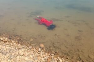 Screenshot 20240415 125005 Console Crptech