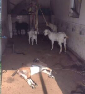 images 2024 04 10T215753.112 Console Crptech