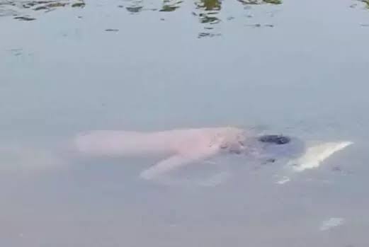 images 2024 04 29T163655.897 Console Crptech