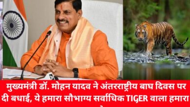 20240729 142727 Console Crptech