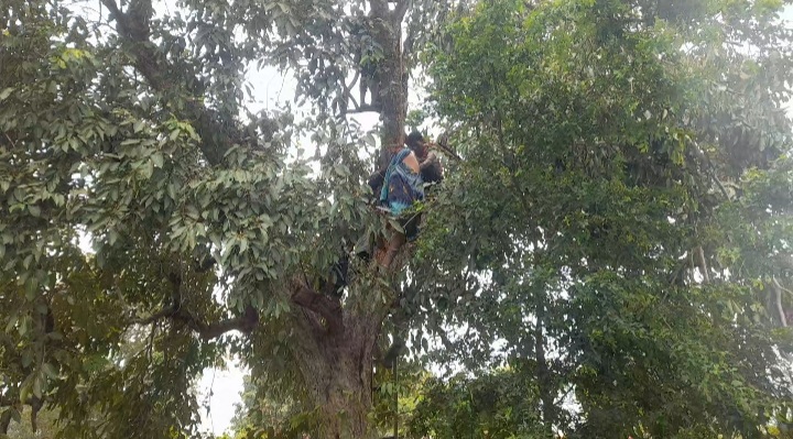 Screenshot 20240715 132746 Video Player Console Crptech