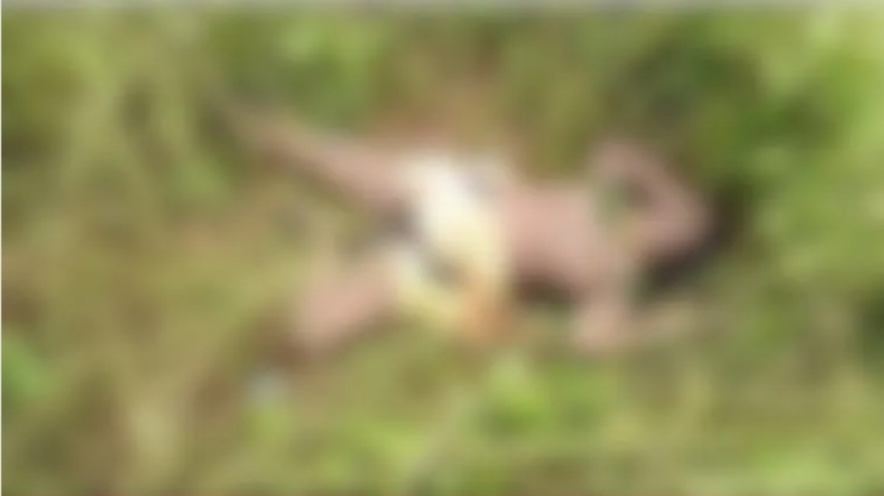 20240816 215913 Console Crptech