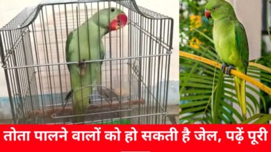 20240824 140956 Console Crptech