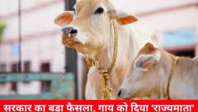 20240930 161815 Console Crptech