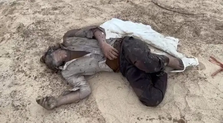 img 20240916 wa04407705723087667519777 768x422 1 Console Crptech