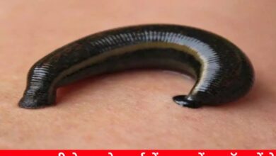 20241005 115635 Console Crptech