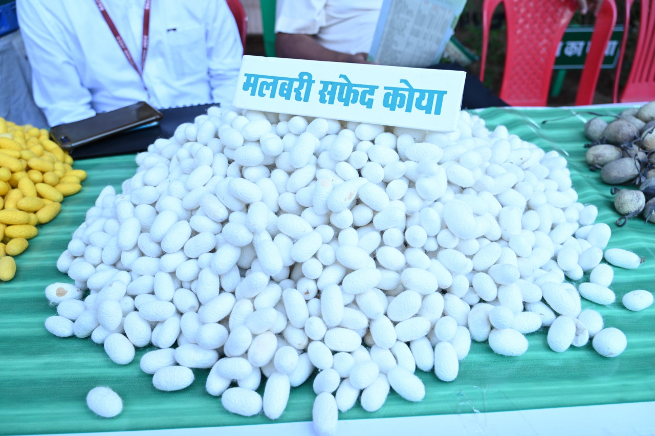 1730885278 7b2922af05aa37e05ba2 Console Crptech