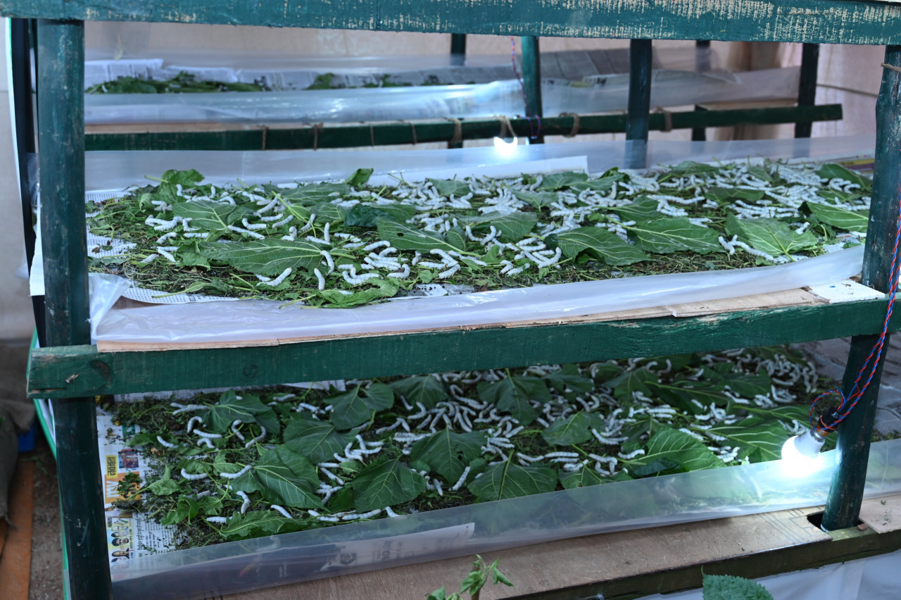 1730885479 61fc022e9ab2eec1cf11 Console Crptech