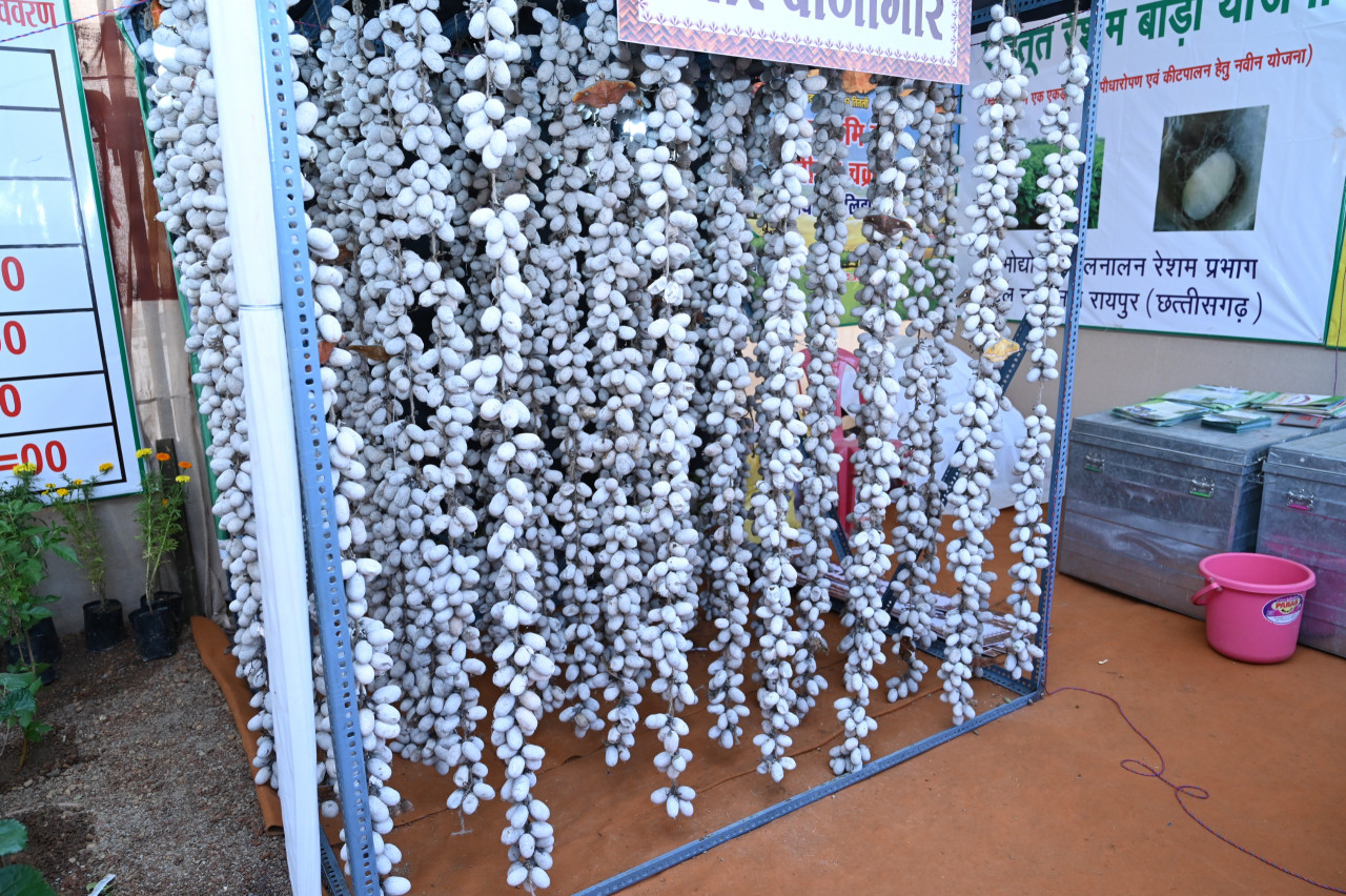 1730885495 45512cc91094bbca98eb Console Crptech