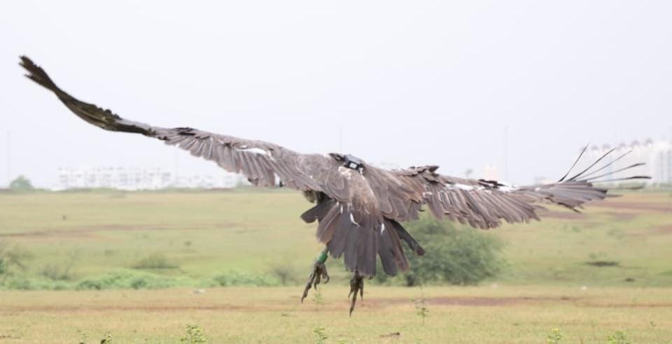 1731324515 2bdfbe7a840ef0f3940b Console Crptech