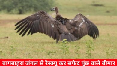 20241111 190825 Console Crptech