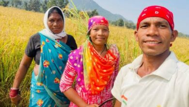 20241112 192531 Console Crptech