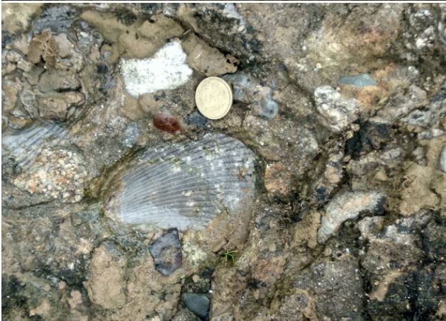 1739633479 0b700675ecf22206cfd4 Console Crptech