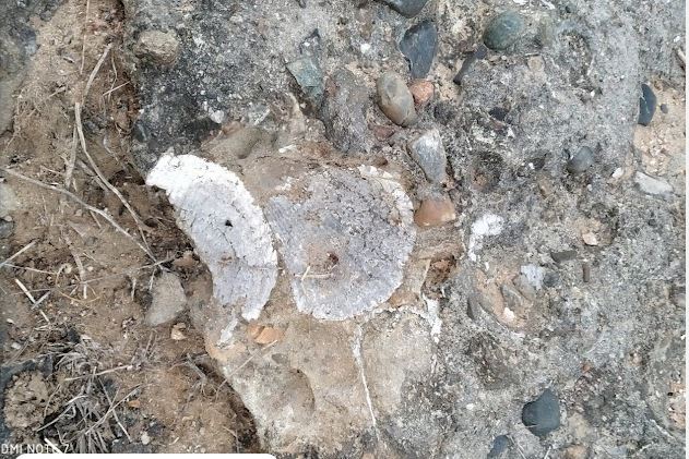 1739633517 012529e3627c434d0ff4 Console Crptech