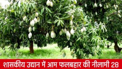 20250322 175326 Console Crptech