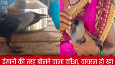 20250404 134354 Console Crptech