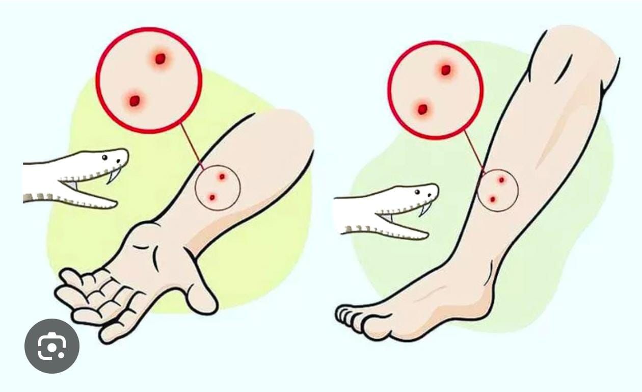 1751625377 b621d16c3113db5ee3d5 Console Crptech