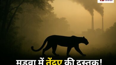 20251028 195055 Console Crptech