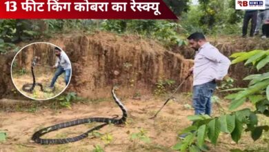 20251031 195704 Console Crptech