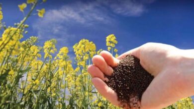 1764493558 158ea92546875816511b Console Crptech