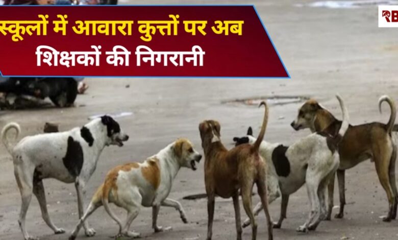 20251121 221115 Console Crptech