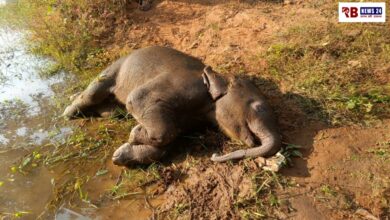 20251125 204846 Console Crptech