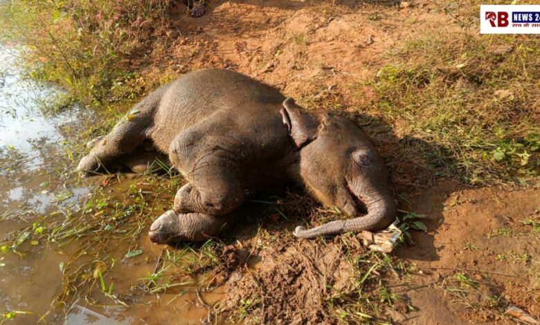 20251125 204846 Console Crptech