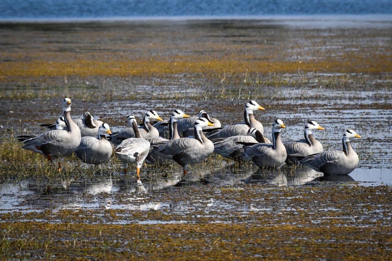 1765544531 f60dedb08ca5a72a638c Console Crptech