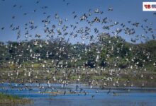 20251212 193438 Console Crptech