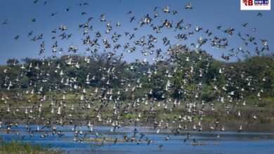 20251212 193438 Console Crptech