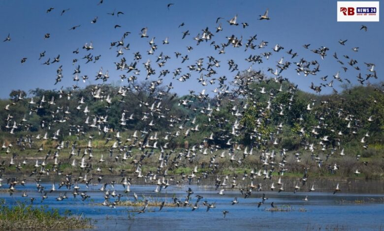 20251212 193438 Console Crptech