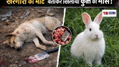 20251225 204836 Console Crptech