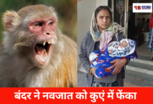 20260122 190812 Console Crptech