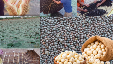 20260130 170445 Console Crptech