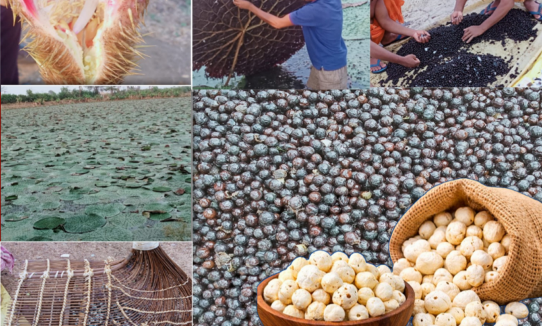 20260130 170445 Console Crptech