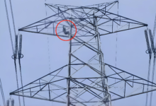 Polish 20260131 161243362 Console Crptech