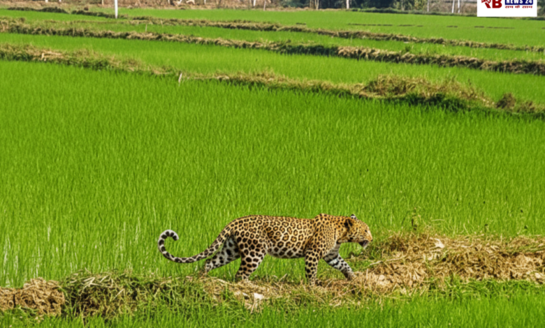 20260211 172246 Console Crptech