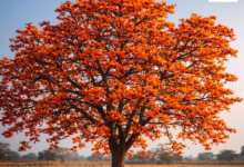 20260301 112424 Console Crptech