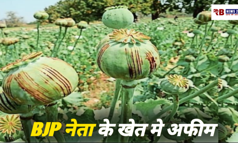 20260307 181702 Console Crptech