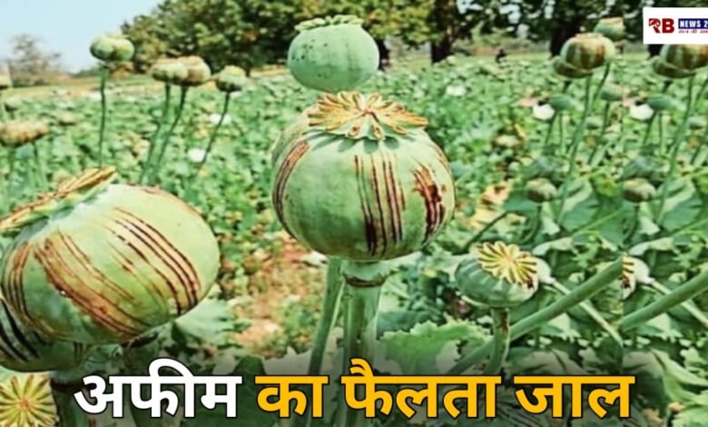 20260320 183858 Console Crptech