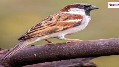 20260322 173538 Console Crptech