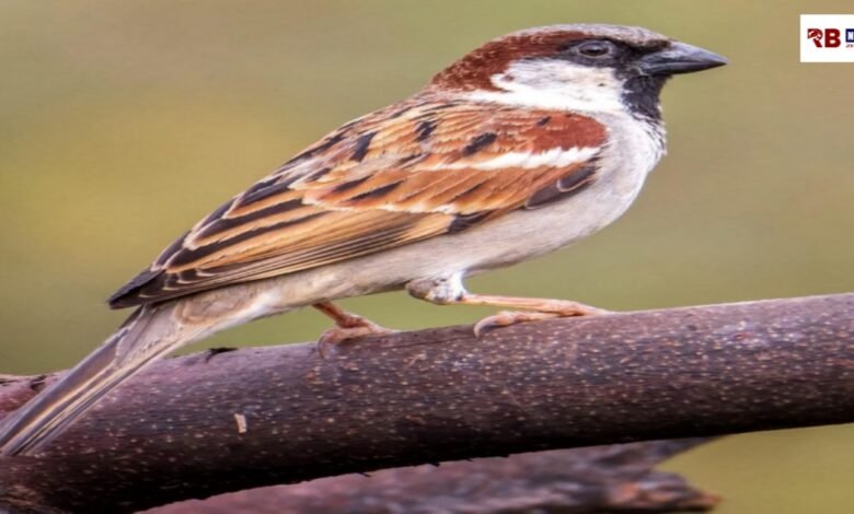 20260322 173538 Console Crptech